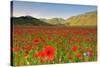 Castelluccio, Norcia, Perugia province, Umbria, Italy-ClickAlps-Stretched Canvas