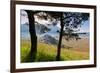 Castelluccio, Norcia, Perugia province, Umbria, Italy-ClickAlps-Framed Photographic Print