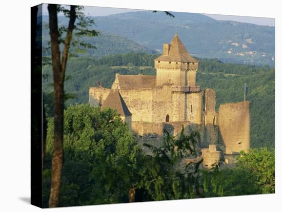 Castelnaud Castle, in the Dordogne, Aquitaine, France, Europe-Tomlinson Ruth-Stretched Canvas