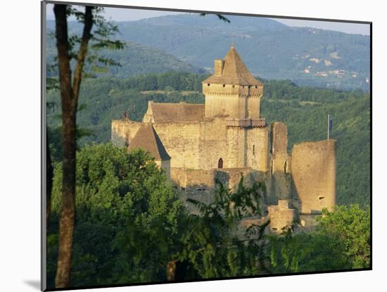 Castelnaud Castle, in the Dordogne, Aquitaine, France, Europe-Tomlinson Ruth-Mounted Photographic Print