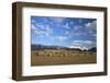 Castelrigg Megalithic Stone Circle in Winter with Helvellyn Range Behind-Peter Barritt-Framed Photographic Print