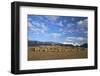 Castelrigg Megalithic Stone Circle in Winter with Helvellyn Range Behind-Peter Barritt-Framed Photographic Print