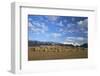 Castelrigg Megalithic Stone Circle in Winter with Helvellyn Range Behind-Peter Barritt-Framed Photographic Print