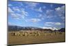 Castelrigg Megalithic Stone Circle in Winter with Helvellyn Range Behind-Peter Barritt-Mounted Photographic Print