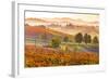 Castelvetro, Modena, Emilia Romagna-Francesco Riccardo Iacomino-Framed Photographic Print