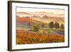 Castelvetro, Modena, Emilia Romagna-Francesco Riccardo Iacomino-Framed Photographic Print