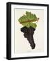 Castets Grape-J. Troncy-Framed Giclee Print