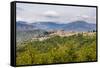 Castiglione Di Sicilia, a Small Village on Mount Etna Volcano, Sicily, Italy, Europe-Matthew Williams-Ellis-Framed Stretched Canvas