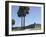 Castillo San Marcos, Spanish Colonial Fort in Saint Augustine, Florida-null-Framed Photographic Print