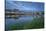 Castle and bridge at blue hour, Amboise, Indre-et-Loire, Loire Valley, Centre, France, Europe-Francesco Vaninetti-Stretched Canvas