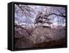 Castle and Cherry Blossoms-null-Framed Stretched Canvas