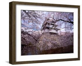 Castle and Cherry Blossoms-null-Framed Photographic Print