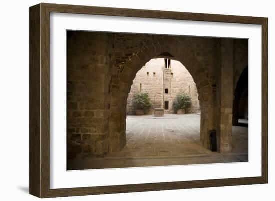 Castle and Collegiate Church of St-null-Framed Photo