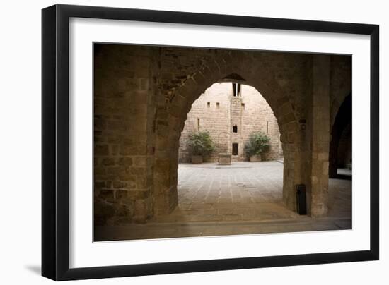 Castle and Collegiate Church of St-null-Framed Photo