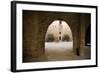 Castle and Collegiate Church of St-null-Framed Photo