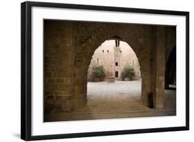 Castle and Collegiate Church of St-null-Framed Photo