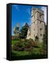 Castle and Jacobean Garden, Lismore Castle, County Waterford, Ireland-null-Framed Stretched Canvas