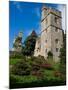 Castle and Jacobean Garden, Lismore Castle, County Waterford, Ireland-null-Mounted Photographic Print