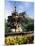 Castle and Princes Street Garden Fountain, Edinburgh, Lothian, Scotland, United Kingdom-Neale Clarke-Mounted Photographic Print