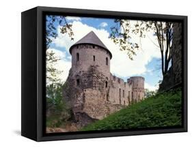 Castle at Cesis, Latvia-Janis Miglavs-Framed Stretched Canvas