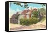 Castle Bandbox, Siasconset, Nantucket, Massachusetts-null-Framed Stretched Canvas