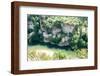 Castle Bouc, Gorges Du Tarn, France, Europe-Peter Groenendijk-Framed Photographic Print