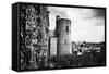 Castle - Clisson - Loire-Atlantique - Pays de la Loire - France-Philippe Hugonnard-Framed Stretched Canvas