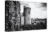 Castle - Clisson - Loire-Atlantique - Pays de la Loire - France-Philippe Hugonnard-Stretched Canvas