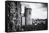 Castle - Clisson - Loire-Atlantique - Pays de la Loire - France-Philippe Hugonnard-Framed Stretched Canvas