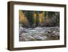 Castle Creek in Autumn in the White River National Forest Near Aspen, Colorado, Usa-Chuck Haney-Framed Photographic Print