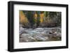 Castle Creek in Autumn in the White River National Forest Near Aspen, Colorado, Usa-Chuck Haney-Framed Photographic Print