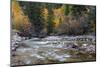 Castle Creek in Autumn in the White River National Forest Near Aspen, Colorado, Usa-Chuck Haney-Mounted Photographic Print