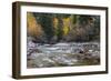 Castle Creek in Autumn in the White River National Forest Near Aspen, Colorado, Usa-Chuck Haney-Framed Photographic Print