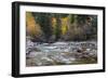 Castle Creek in Autumn in the White River National Forest Near Aspen, Colorado, Usa-Chuck Haney-Framed Photographic Print