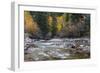 Castle Creek in Autumn in the White River National Forest Near Aspen, Colorado, Usa-Chuck Haney-Framed Photographic Print