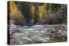 Castle Creek in Autumn in the White River National Forest Near Aspen, Colorado, Usa-Chuck Haney-Stretched Canvas
