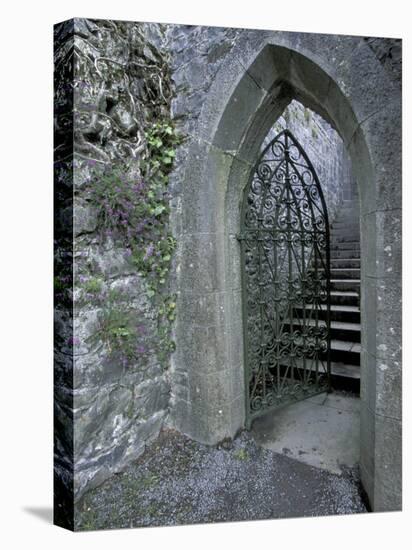 Castle Doorway, County Mayo, Ireland-William Sutton-Stretched Canvas