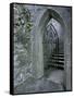 Castle Doorway, County Mayo, Ireland-William Sutton-Framed Stretched Canvas