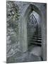 Castle Doorway, County Mayo, Ireland-William Sutton-Mounted Premium Photographic Print