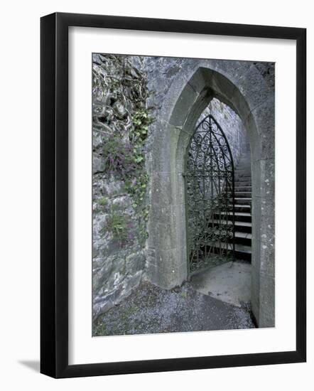 Castle Doorway, County Mayo, Ireland-William Sutton-Framed Photographic Print