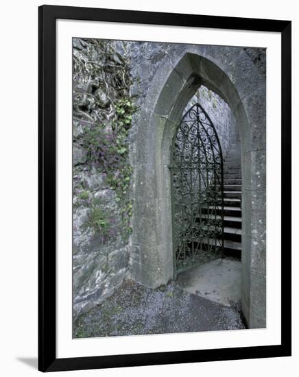 Castle Doorway, County Mayo, Ireland-William Sutton-Framed Photographic Print