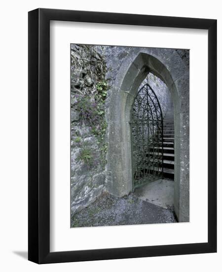 Castle Doorway, County Mayo, Ireland-William Sutton-Framed Photographic Print