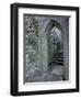 Castle Doorway, County Mayo, Ireland-William Sutton-Framed Photographic Print