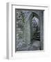 Castle Doorway, County Mayo, Ireland-William Sutton-Framed Photographic Print