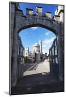 Castle Gate, Blackrock, Cork, Ireland-George Oze-Mounted Photographic Print