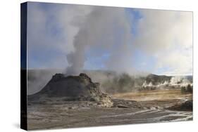 Castle Geyser and Steamy Surrounds, Upper Geyser Basin, Yellowstone National Park, Wyoming, Usa-Eleanor Scriven-Stretched Canvas