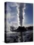 Castle Geyser at Sunrise in Yellowstone National Park, Wyoming, USA-Diane Johnson-Stretched Canvas