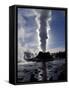 Castle Geyser at Sunrise in Yellowstone National Park, Wyoming, USA-Diane Johnson-Framed Stretched Canvas