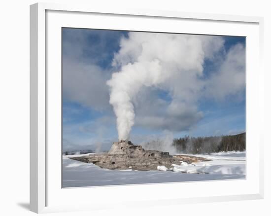 Castle Geyser Erupting in Winter Landscape, Yellowstone National Park, UNESCO World Heritage Site, -Kimberly Walker-Framed Photographic Print