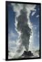 Castle Geyser Erupting, Upper Geyser Basin, Yellowstone National Park, Wyoming-Adam Jones-Framed Photographic Print